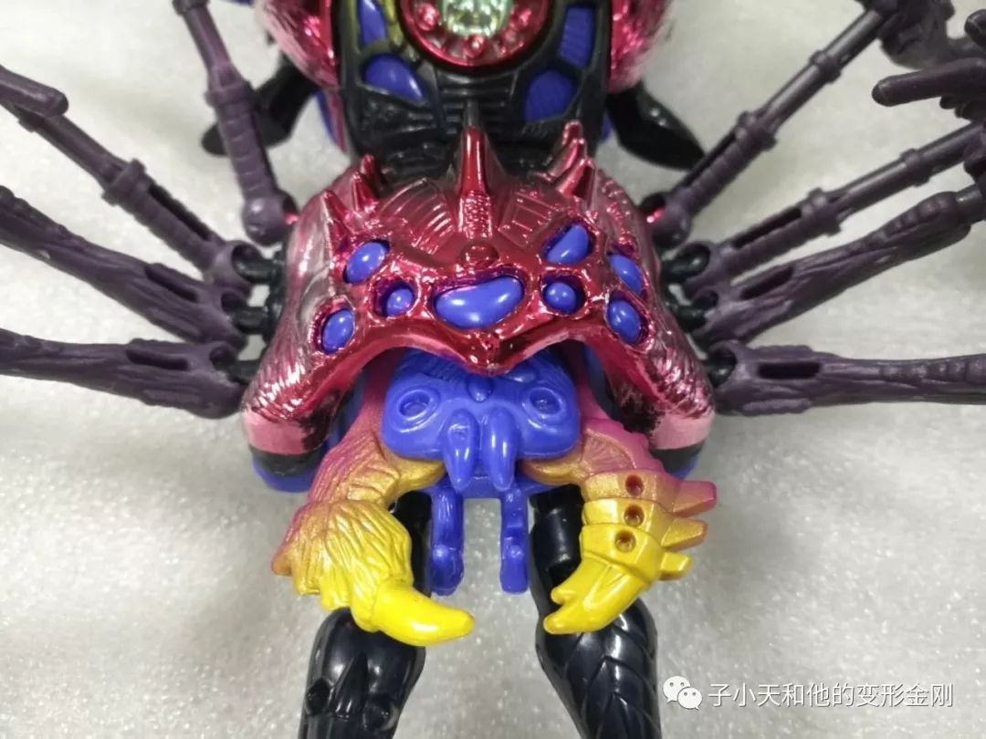 蜘蛛口器和钳子都是左边机械(层叠机械铠),右边兽型(蜘蛛毛发,不规则