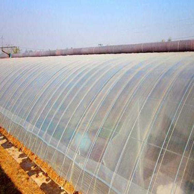 土墙下挖式温室大棚建设工程的注意事项