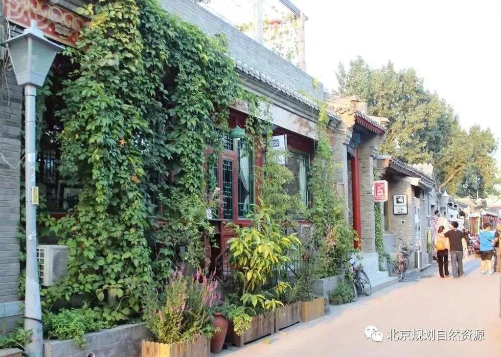 改造北京老城特色留白增绿胡同微花园为社区增添人情味儿