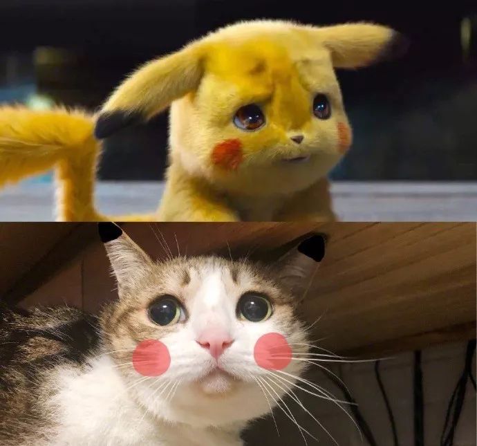 皮卡丘这么可爱怎么可能不是猫呢
