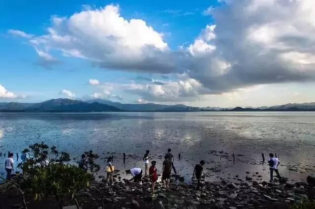 海珠国家湿地公园地址:广州市海珠区新滘中路168号6,淇澳-担杆岛省级