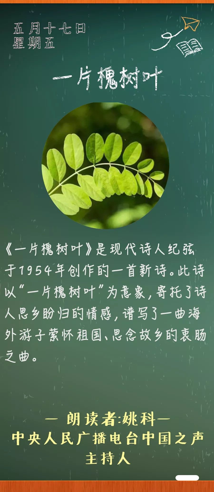 一片槐树叶朗诵图片