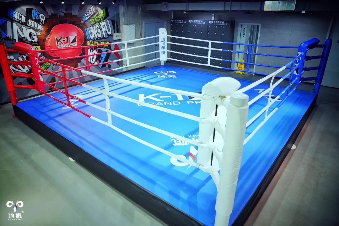 那个拳台是个什么鬼?