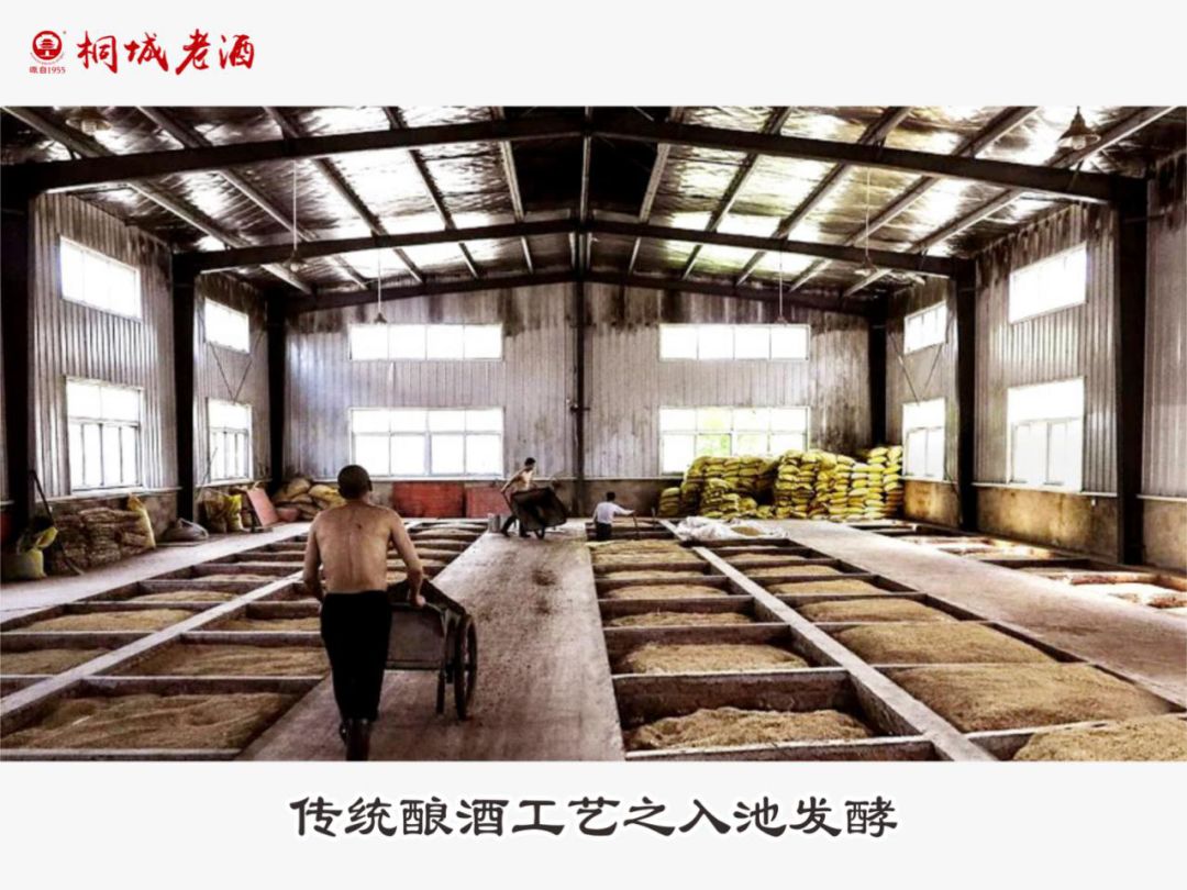 安庆品牌故事大赛一等奖作品《一粒种子的旅行》_酿酒