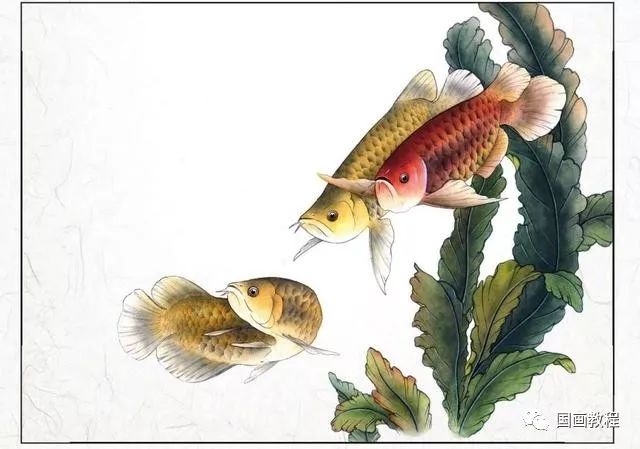 国画教程金龙鱼工笔附染色画法