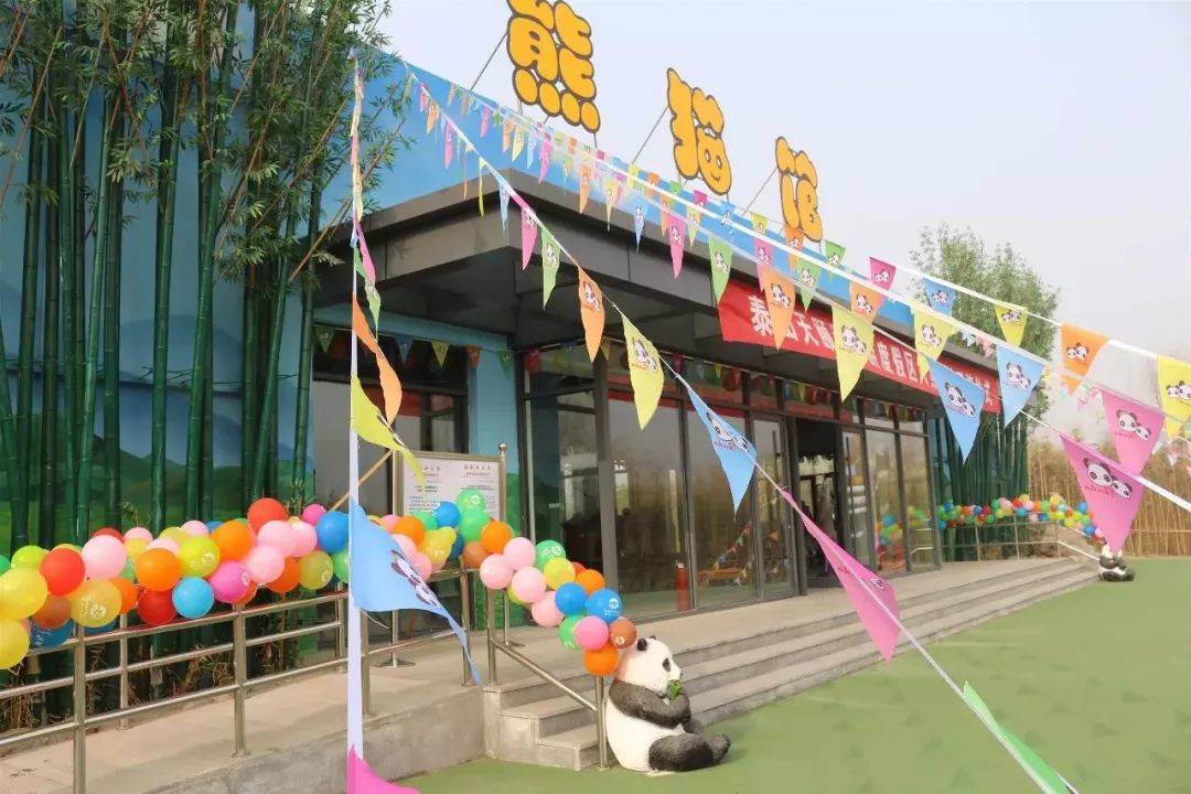 原创泰安赏花休闲婚拍就到泰山花海摩玛梦想城67