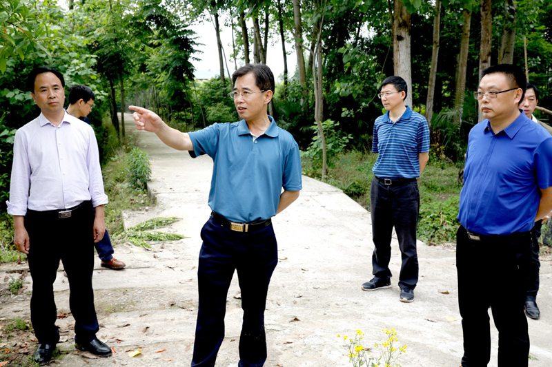 5月16日,副市长尹黎明率队深入我县各地,就长滩寺河河长制工作开展