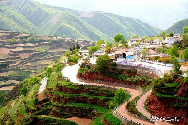 兰州七里河阿干镇双嘴山的高山杜鹃花姹紫嫣红竞相开放