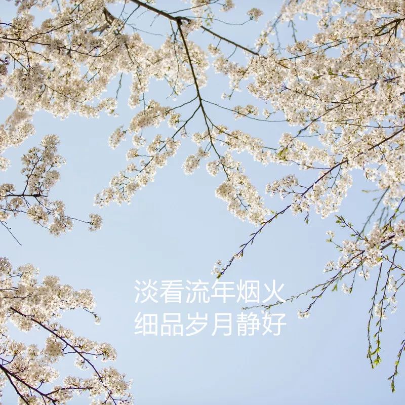 淡看流年烟火细品岁月静好