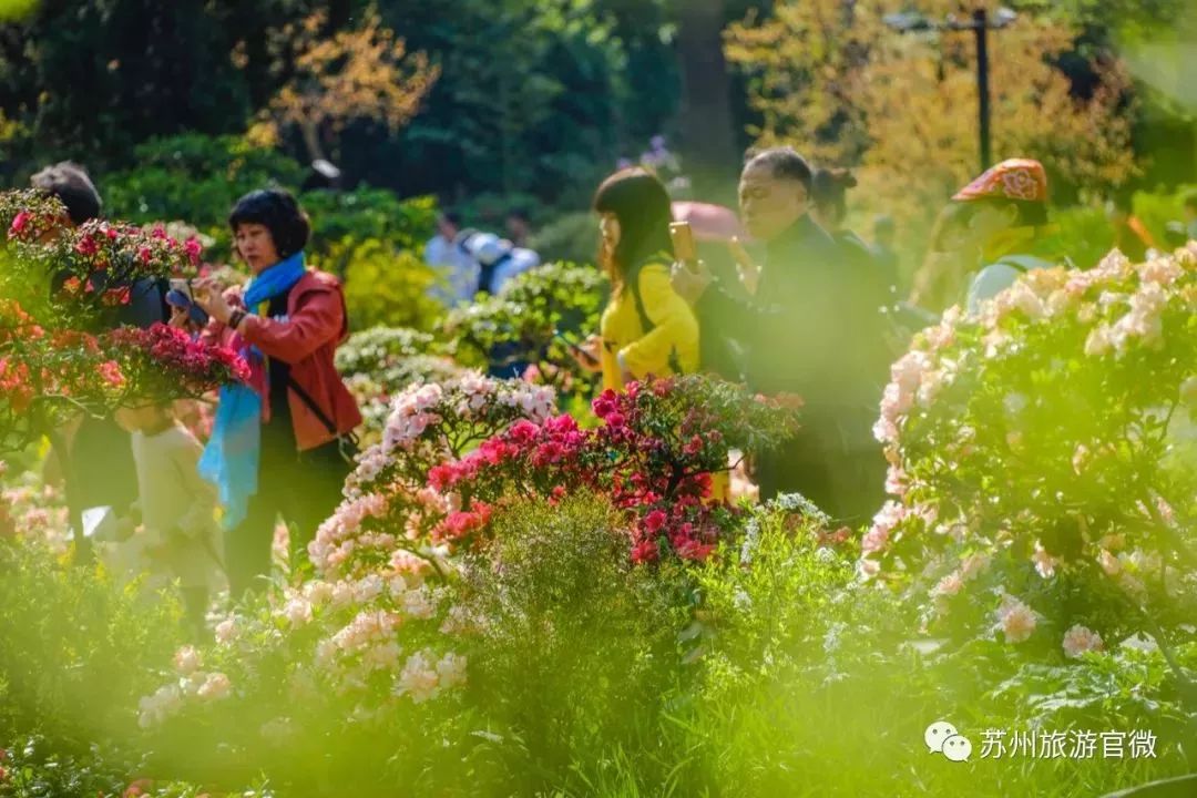 苏州旅游计划英文作文_苏州旅游计划英文_苏州旅游计划