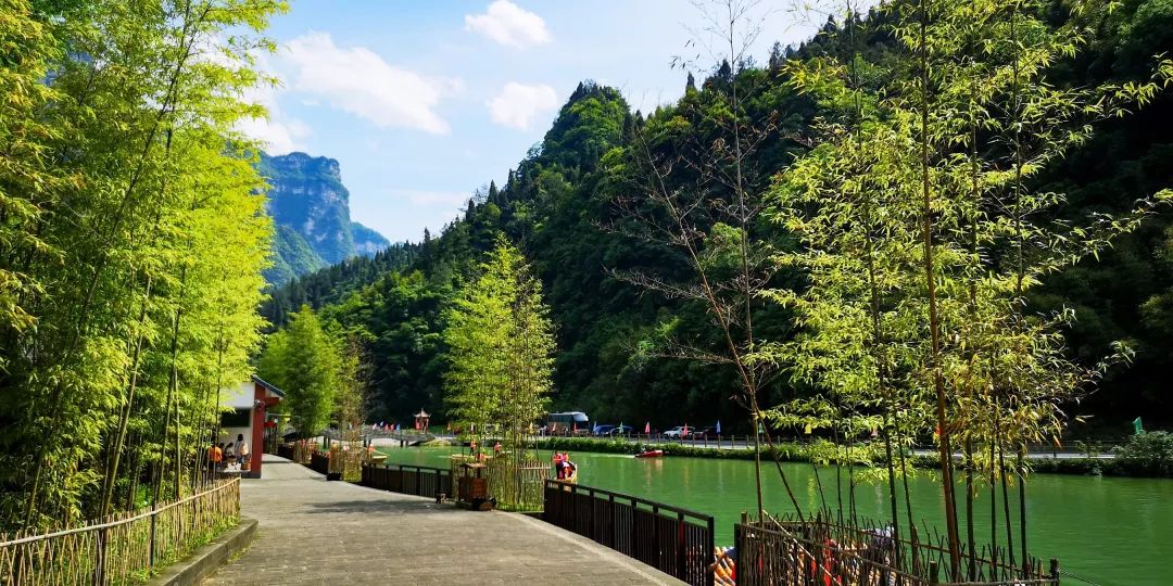 一起走进专业镜头下的最美竹海(内附摄影大赛和免费送票福利包)