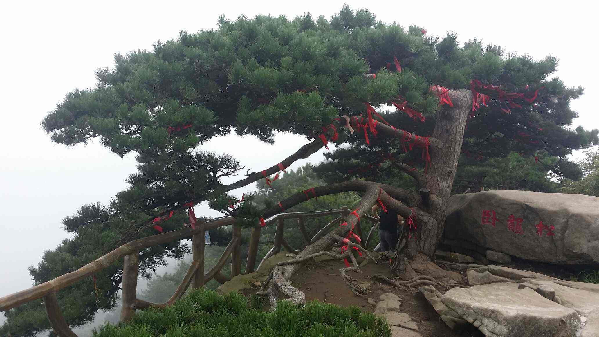 罗田薄刀峰一日游(薄刀峰踏青休闲一日游)呼吸天然"氧吧"