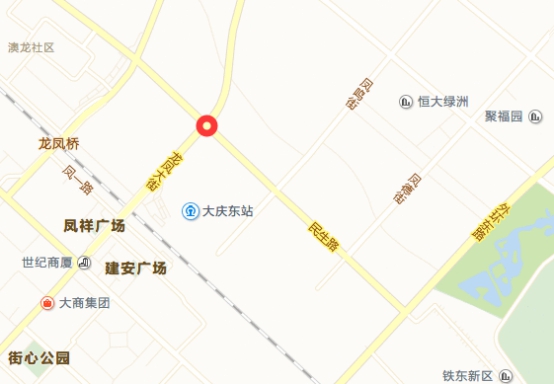 大庆市龙凤区新建34处电子警察6月16日正式启用