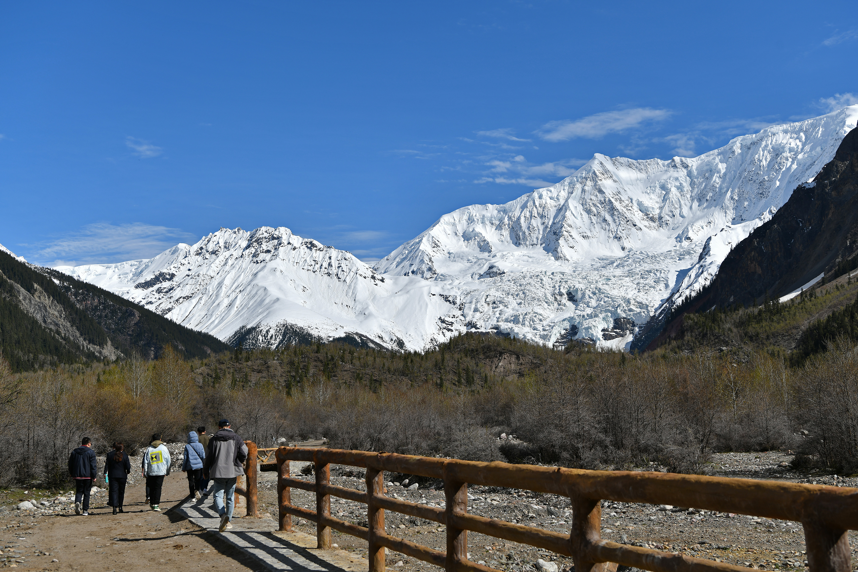 西藏波密:米堆冰川引游人