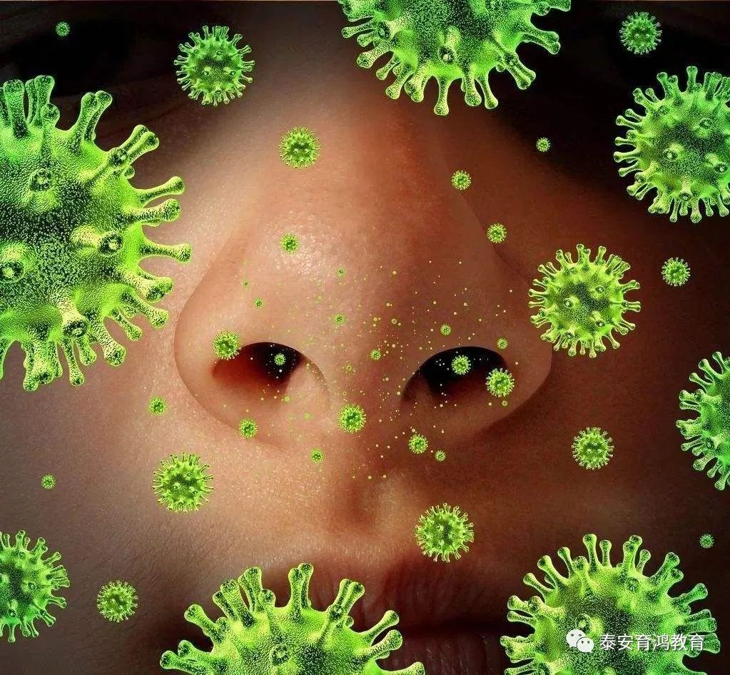 【育鸿儿童之家】夏季常见传染病预防知识