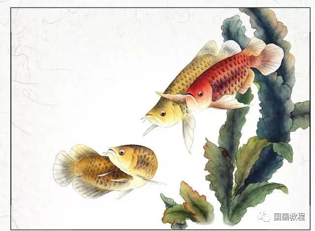 国画教程金龙鱼工笔附染色画法
