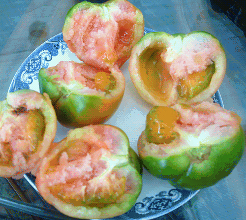 京味儿蔬菜蔬菜里的乡愁之核桃纹大白菜