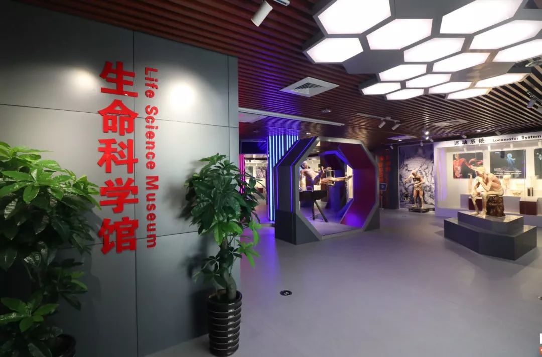 欢迎来到泉州医高专生命科学馆理解生命与健康的意义认识自身结构了解