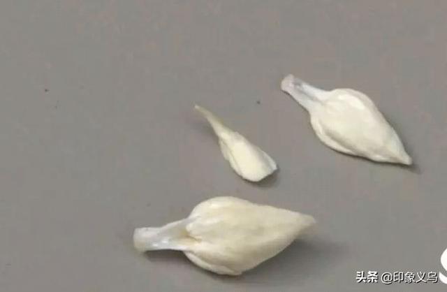 男子從鰱魚肚子裡吃出這玩意,據說是珍貴的魚寶 價