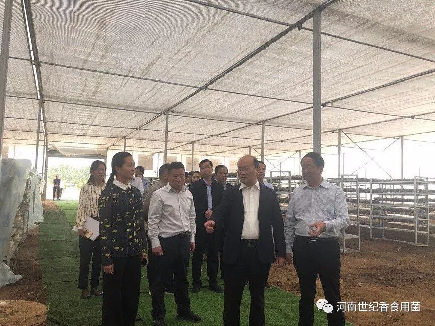 许昌市建安区区委书记邵七一到世纪香食用菌产业扶贫基地调研_陈曹乡