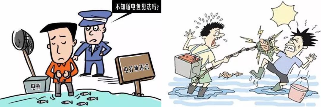 电鱼既违法又危险!