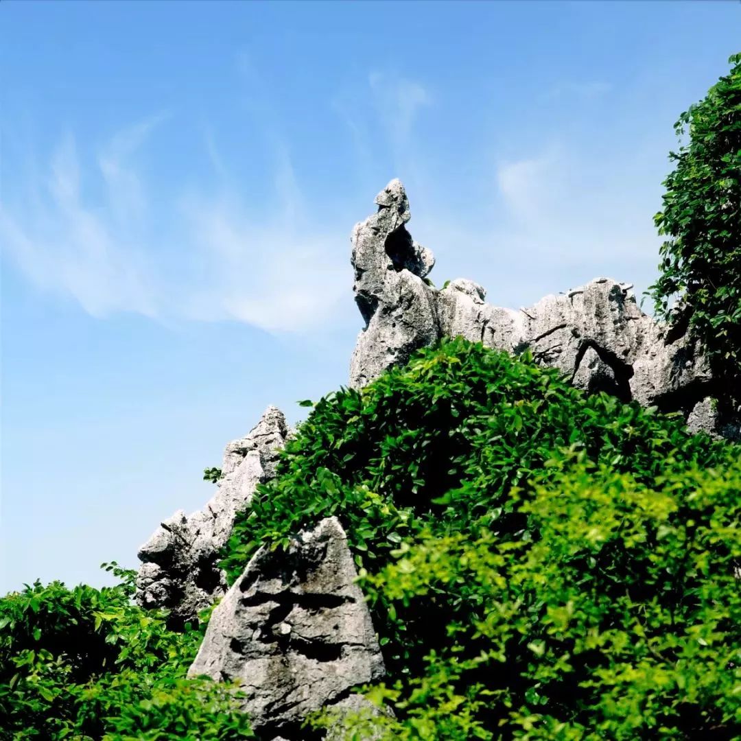 中国旅游日哇全免啦赶快去慢城常山走起