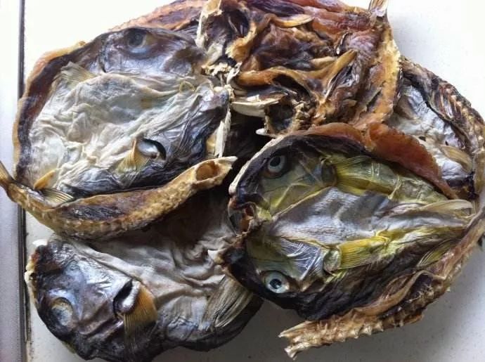 家住宁波鄞州,这次让她吃进急诊的美食正是自家晾制的河豚鱼鲞,这也是
