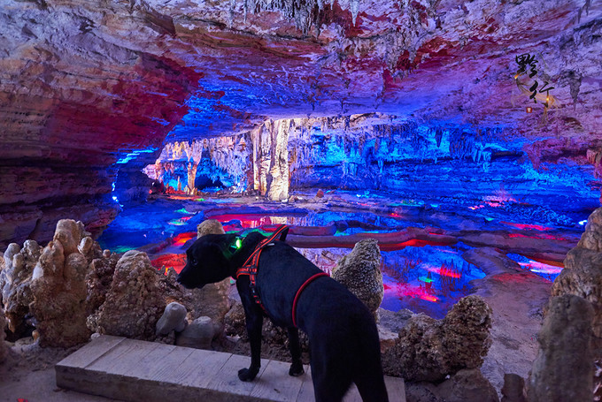 团堆窝天坑在外看你那么不起眼