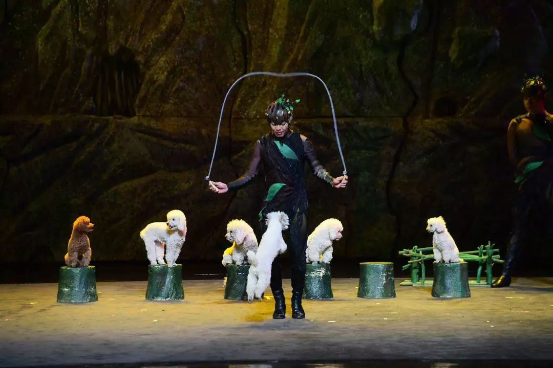 明日上演丨小丑动物嘉年华之梦幻世界