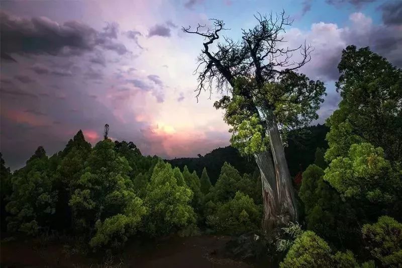 卦山aaaa級風景區 地址:呂梁市交城縣城北