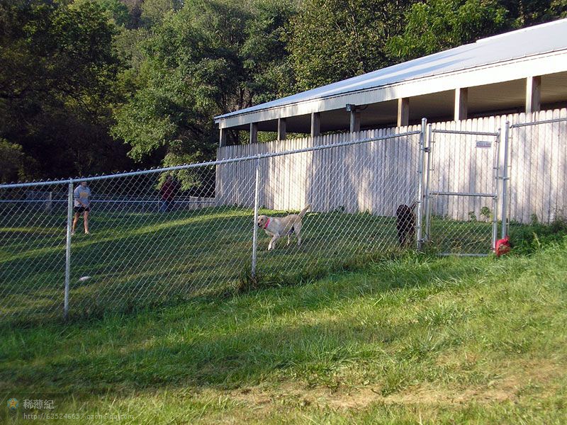 最美犬舍集合有建造犬舍的老鐵可參考