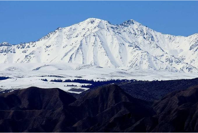 連綿祁連山北緯37度孕育優質大麥若葉青汁嫩苗