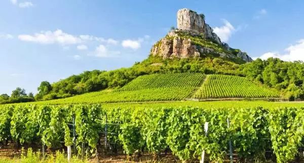 法国葡萄酒的皇后勃艮第产区