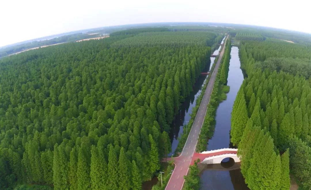 【关注】5.19中国旅游日,淮安缤纷旅游惠民活动等您来～_金湖