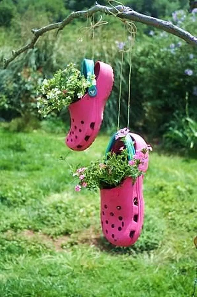 民主路支行【生活篇】:穿完的旧鞋子来种花