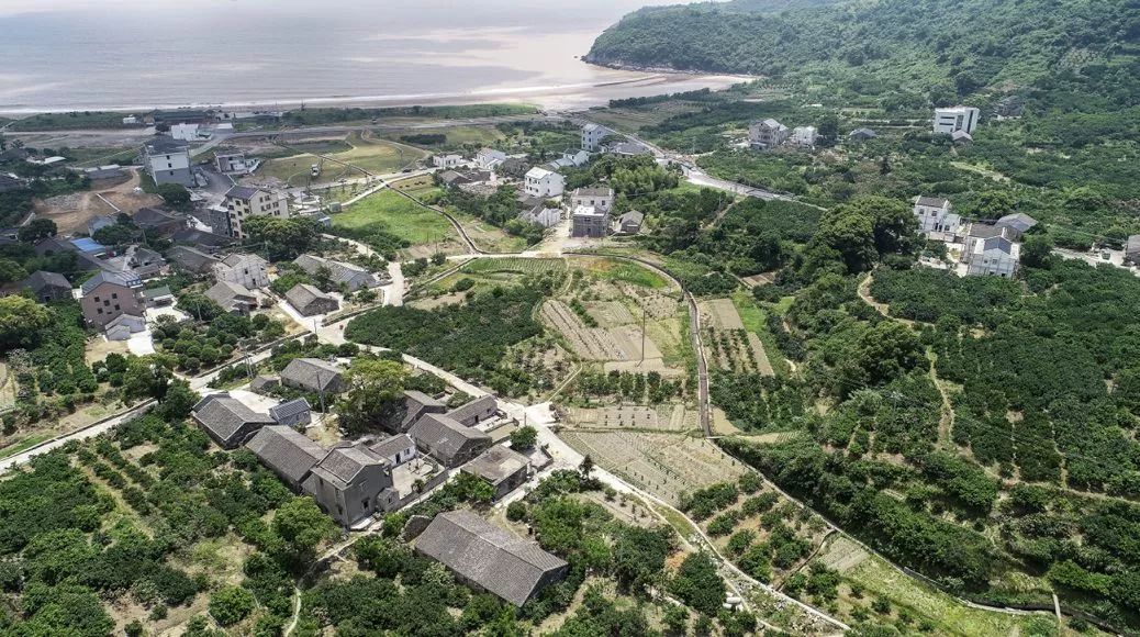 象山三大乡镇集体出动办大活动就是为了这一口