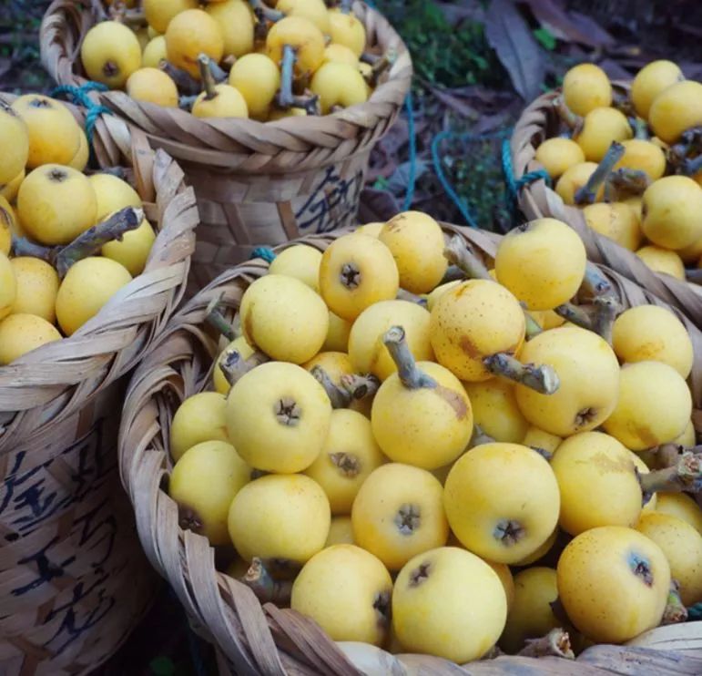 象山三大乡镇集体出动办大活动就是为了这一口