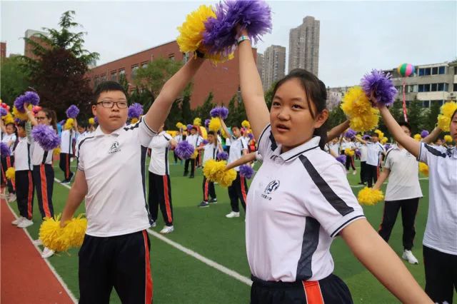 大连明星小学校徽图片