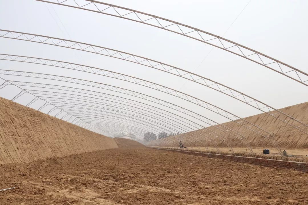 寿光惊现超级大棚群菜农看了直眼馋