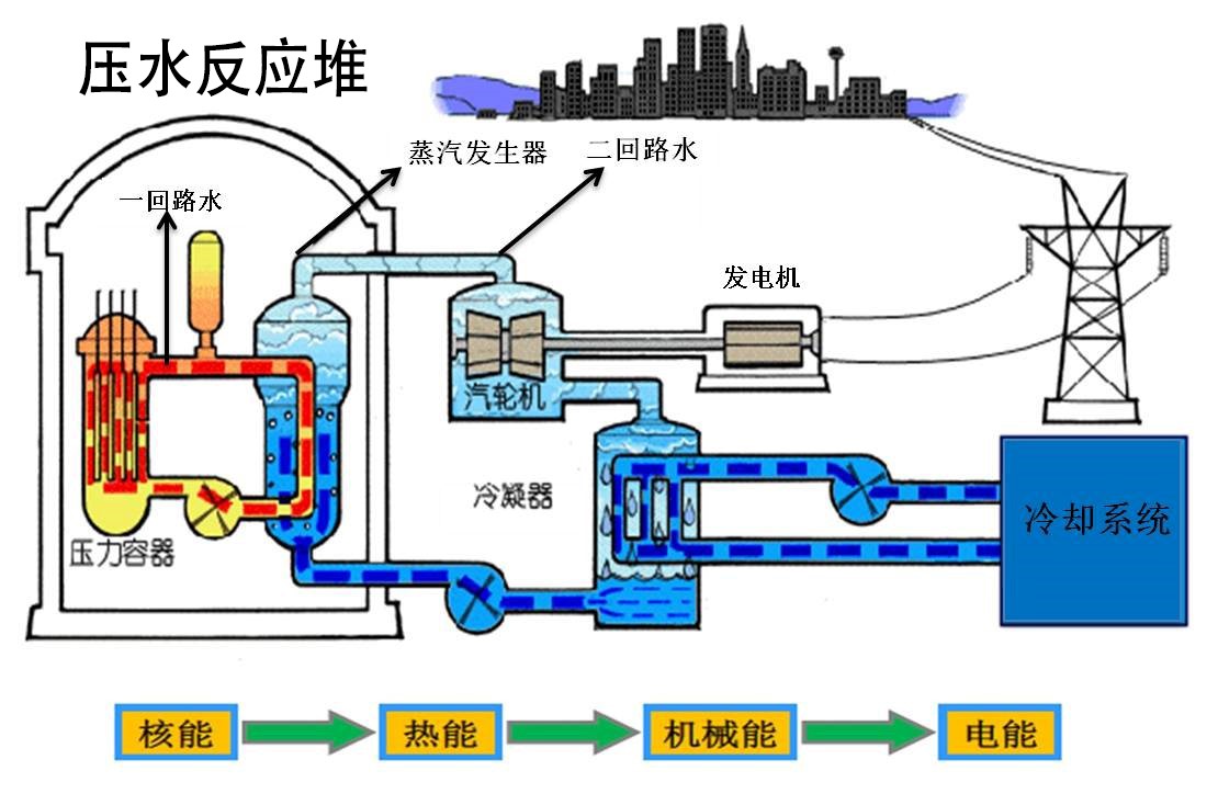 压水反应堆共有两个回路,主泵用来保持一回路中的冷却水循环,冷却水