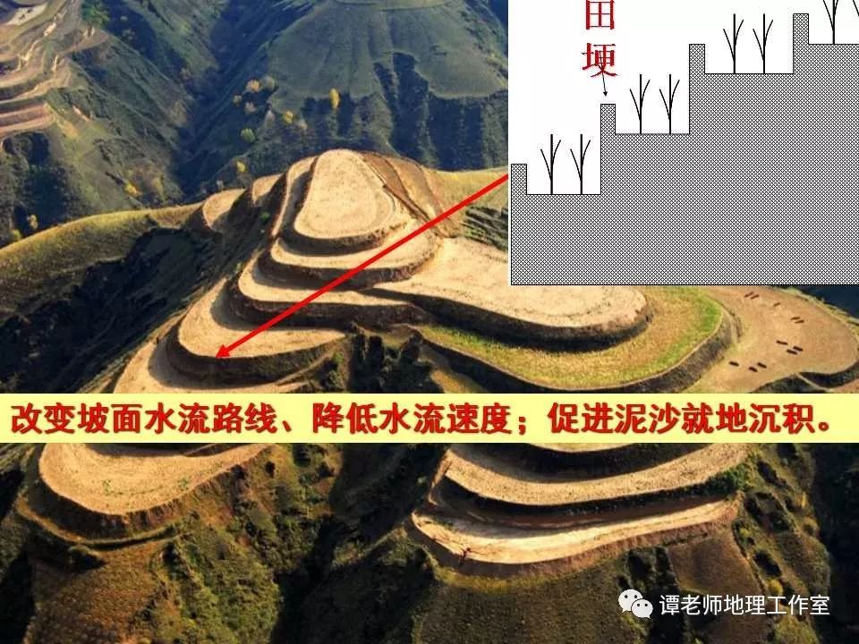 黄土高原水土流失的治理