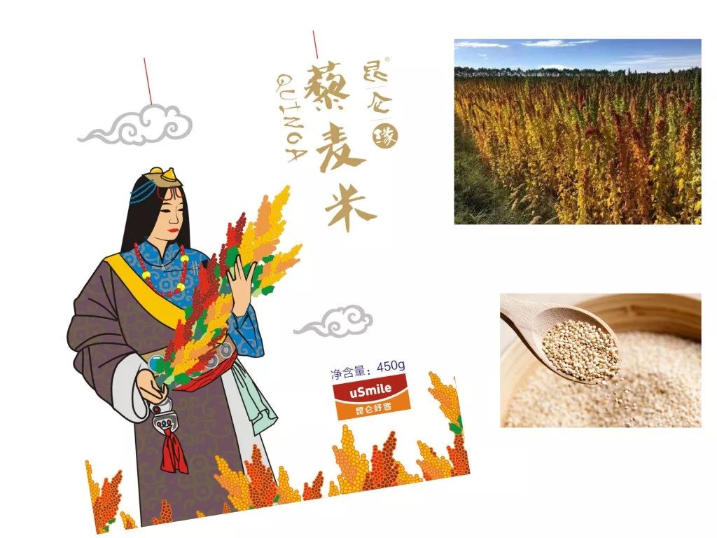 "青藜1号"是我国农业科学家培育出的藜麦良种,对青海的三江沃土和