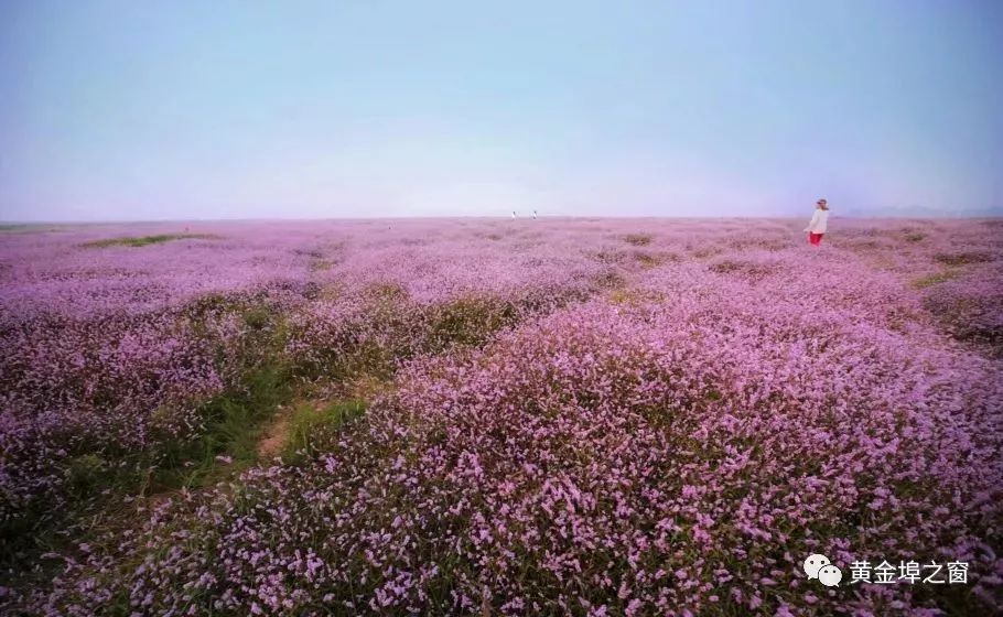 湖光山色最美余干余干旅游宣传片震撼发布