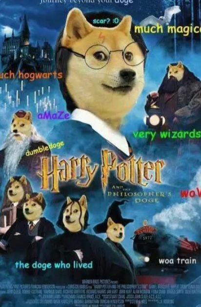 全世界超过20亿人在用它做表情包!_kabosu