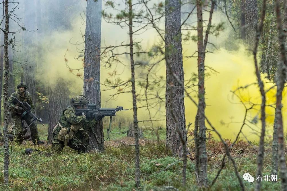 东欧森林里的北约部队:加拿大德国"银箭"联合丛林战演练图集