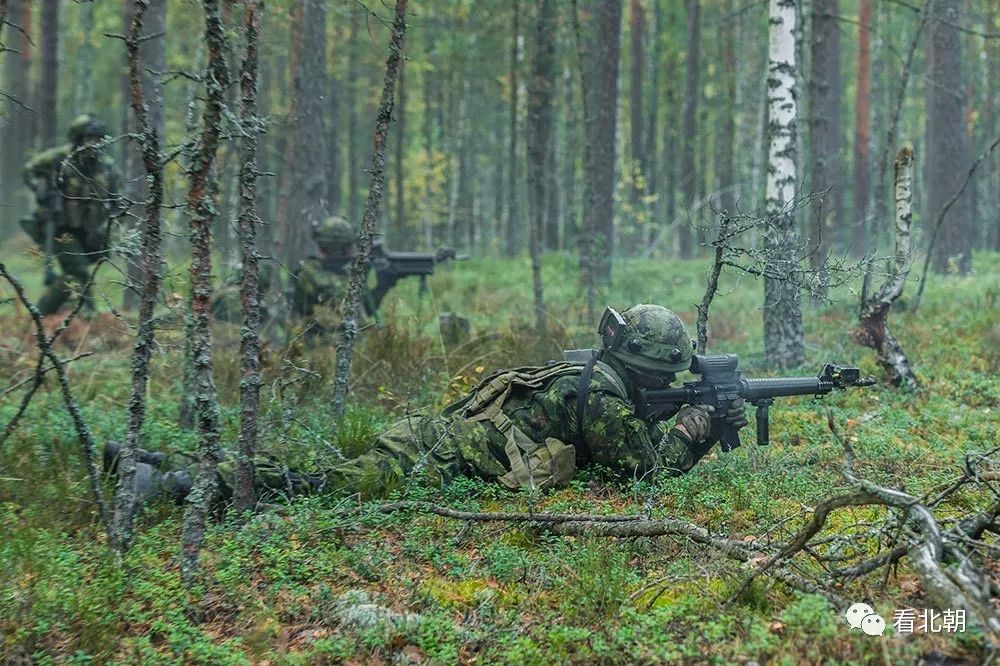东欧森林里的北约部队:加拿大德国"银箭"联合丛林战演练图集