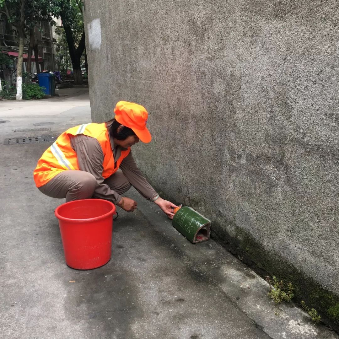 74日前在环南街道蓬莱新村看到,工作人员正在一个喷涂有老鼠图案,并