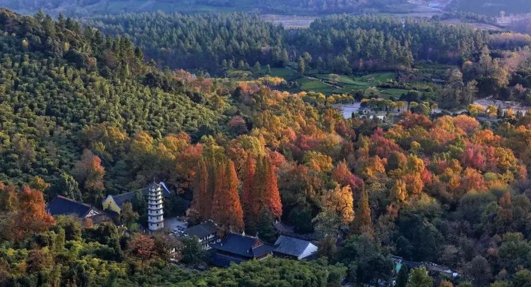 靈峰山景區(5月18日-19日)浙北大峽谷(5月18日-19日)來看看有那些好玩