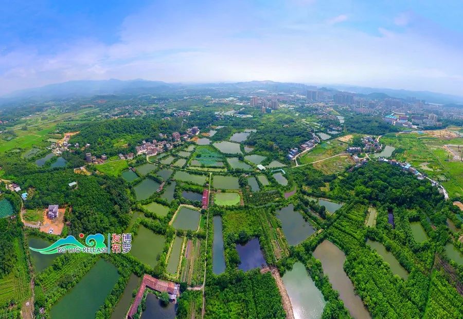 博罗县音乐家协会村歌创作小组以长宁镇为试点,为美丽乡村谱写"一村一