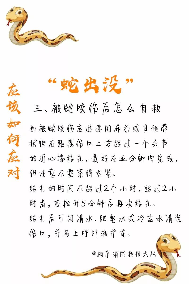 惊skr半个月来蛇出没频繁杭州消防蜀黍除了救火救援还在忙着抓蛇